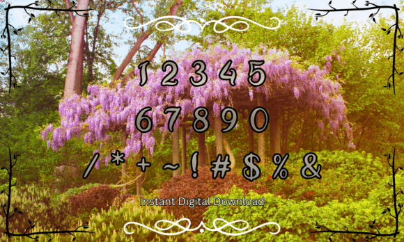 Elven Moonlight Font - Preview 3