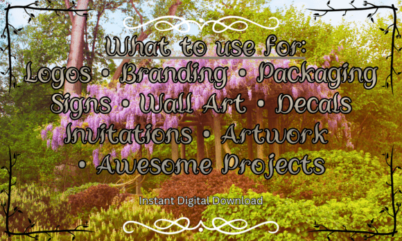 Elven Moonlight Font - Preview 4