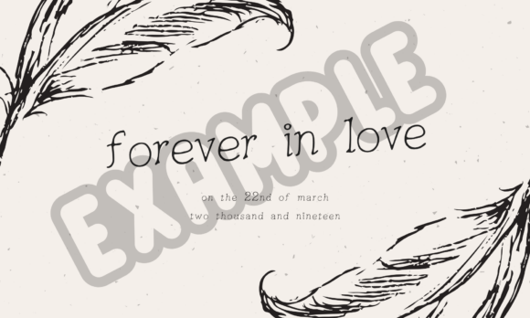 Feather Quill Font PNG with transparent background - Preview 6