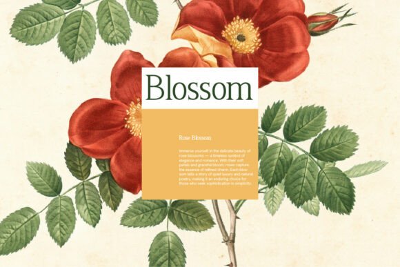 Freglia Bloom Font PNG with transparent background - Preview 3