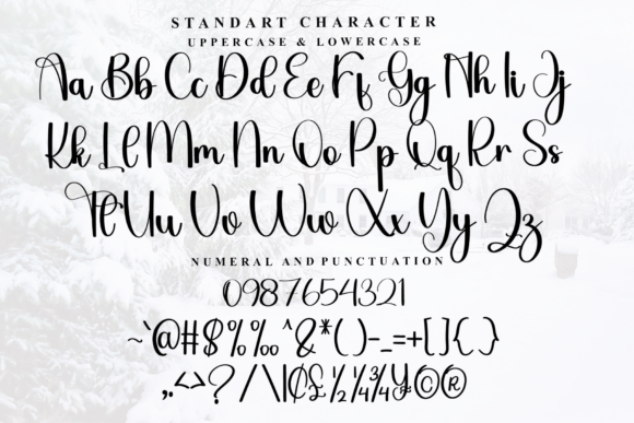 Beauty Font - Preview 4
