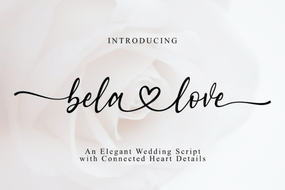 Bela Love Script & Handwritten Font By MJB Letters