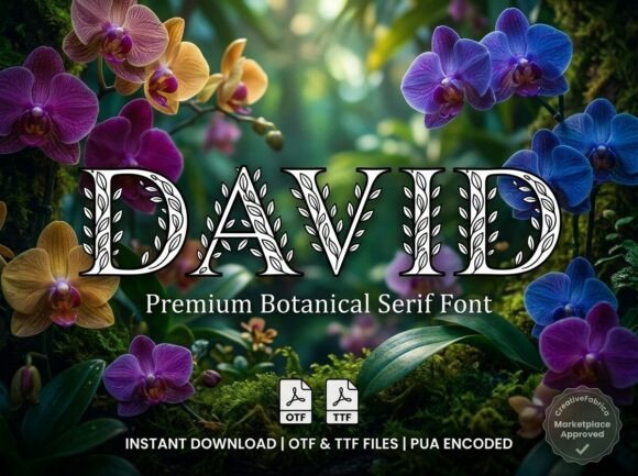 David Font - Preview 2