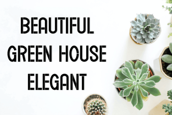 Elegant Dresses Font - Preview 1