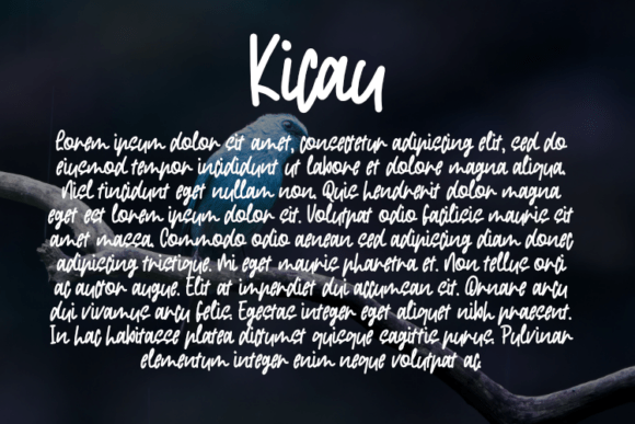 Kicau Font - Preview 2