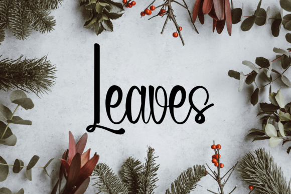 Aligments Font - Preview 1