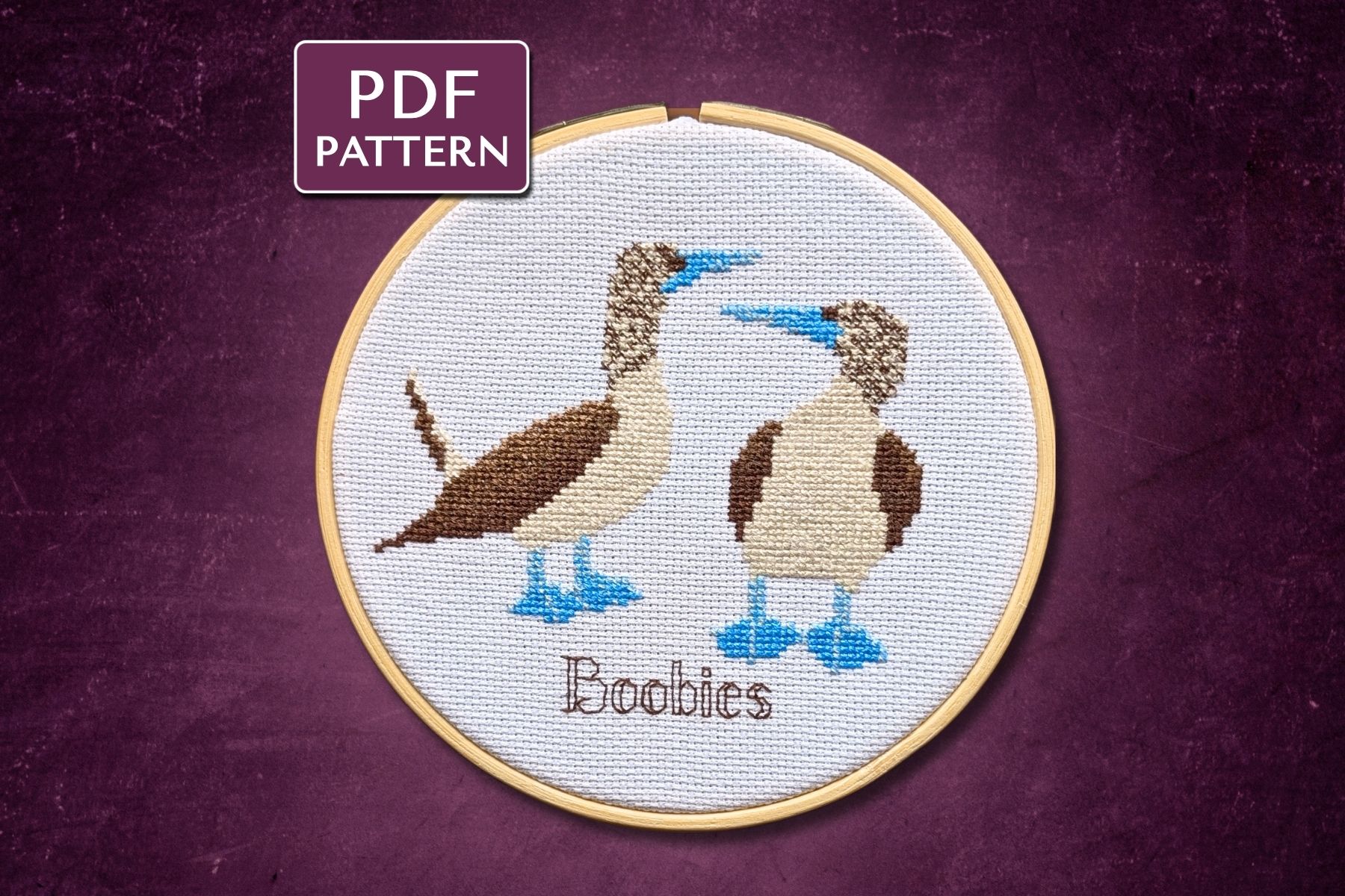 Blue Footed Boobies Cross Stitch Pattern