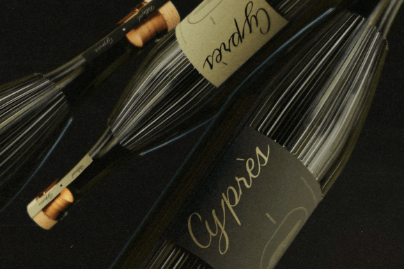 Carmeline Font - Preview 4