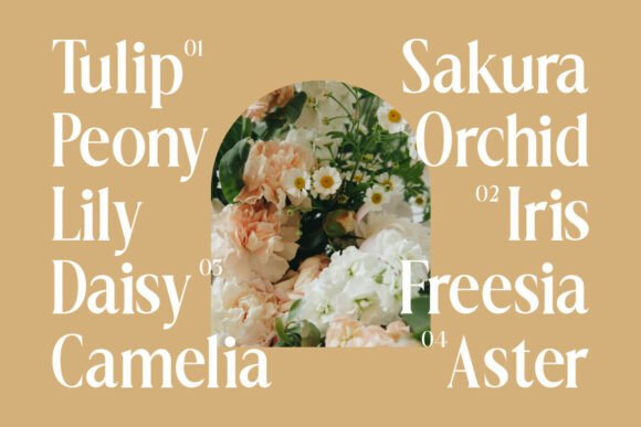 Dionara Font PNG with transparent background - Preview 2