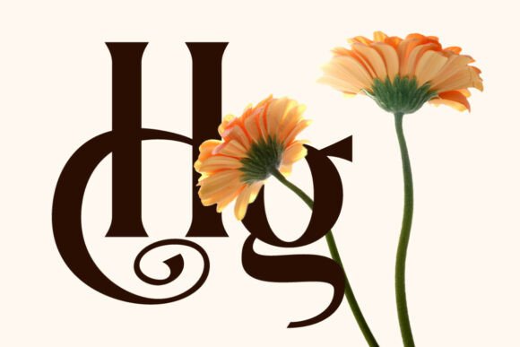 Dionara Font PNG with transparent background - Preview 4