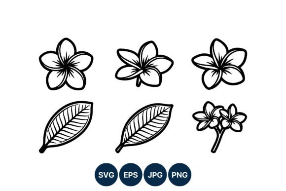 Plumeria Flower Line Art Vector Set Grafik Druckbare Illustrationen Von DesignVectx