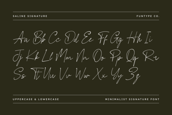 Saline Signature Font PNG with transparent background - Preview 1