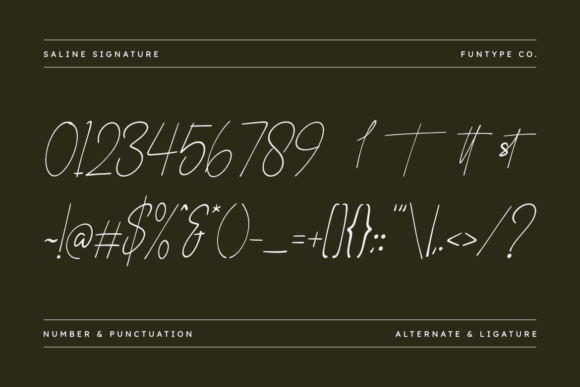 Saline Signature Font PNG with transparent background - Preview 2