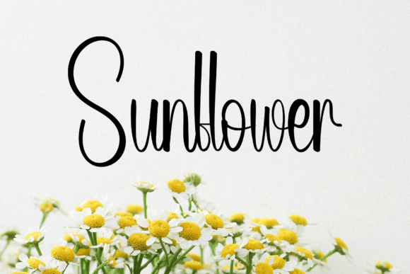 Angelyne Font - Preview 3