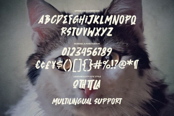 Bighes Mertin Font - Preview 5