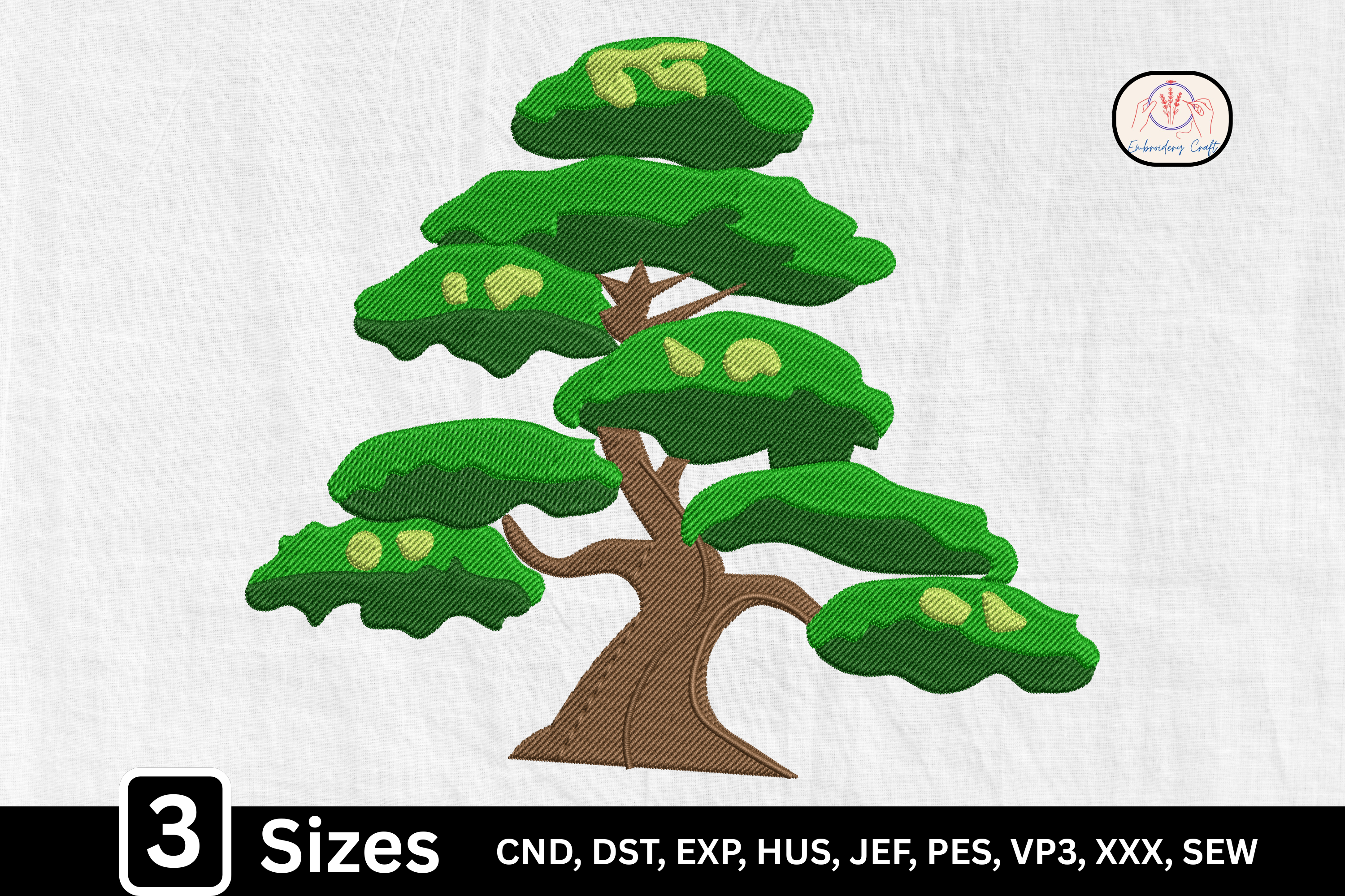 Japanese Bonsai Tree