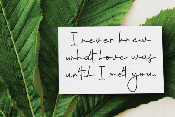 Anitha Font - Preview 3