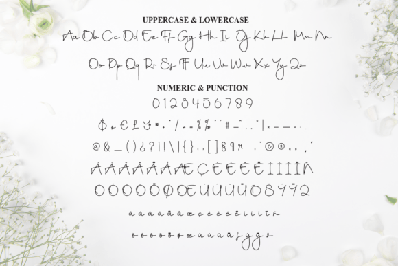 Anitha Font - Preview 6