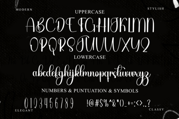 Autographer Font - Preview 2