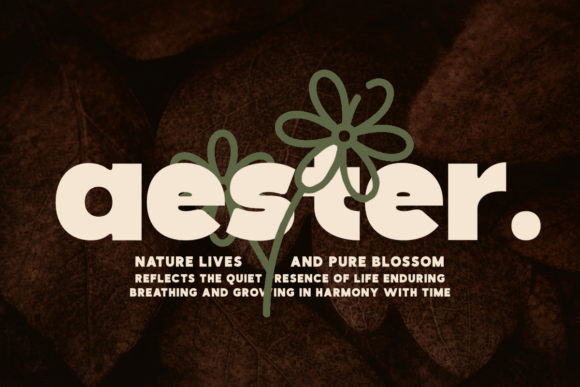 Boldeon Font - Preview 5