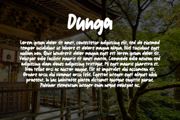 Dunga Font - Preview 2