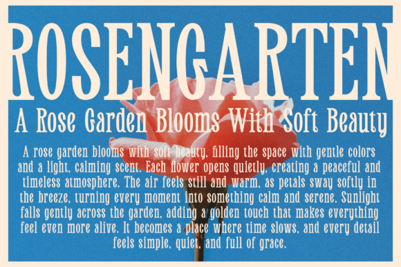 Gentani Font - Preview 5