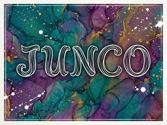 Junco Font PNG with transparent background - Preview 2