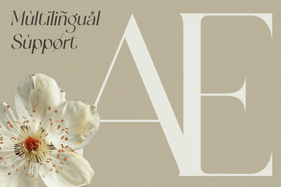Margoe Font PNG with transparent background - Preview 4