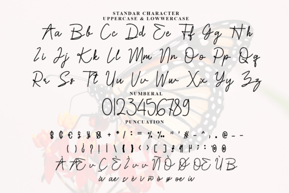 Paula Fluiton Font PNG with transparent background - Preview 4