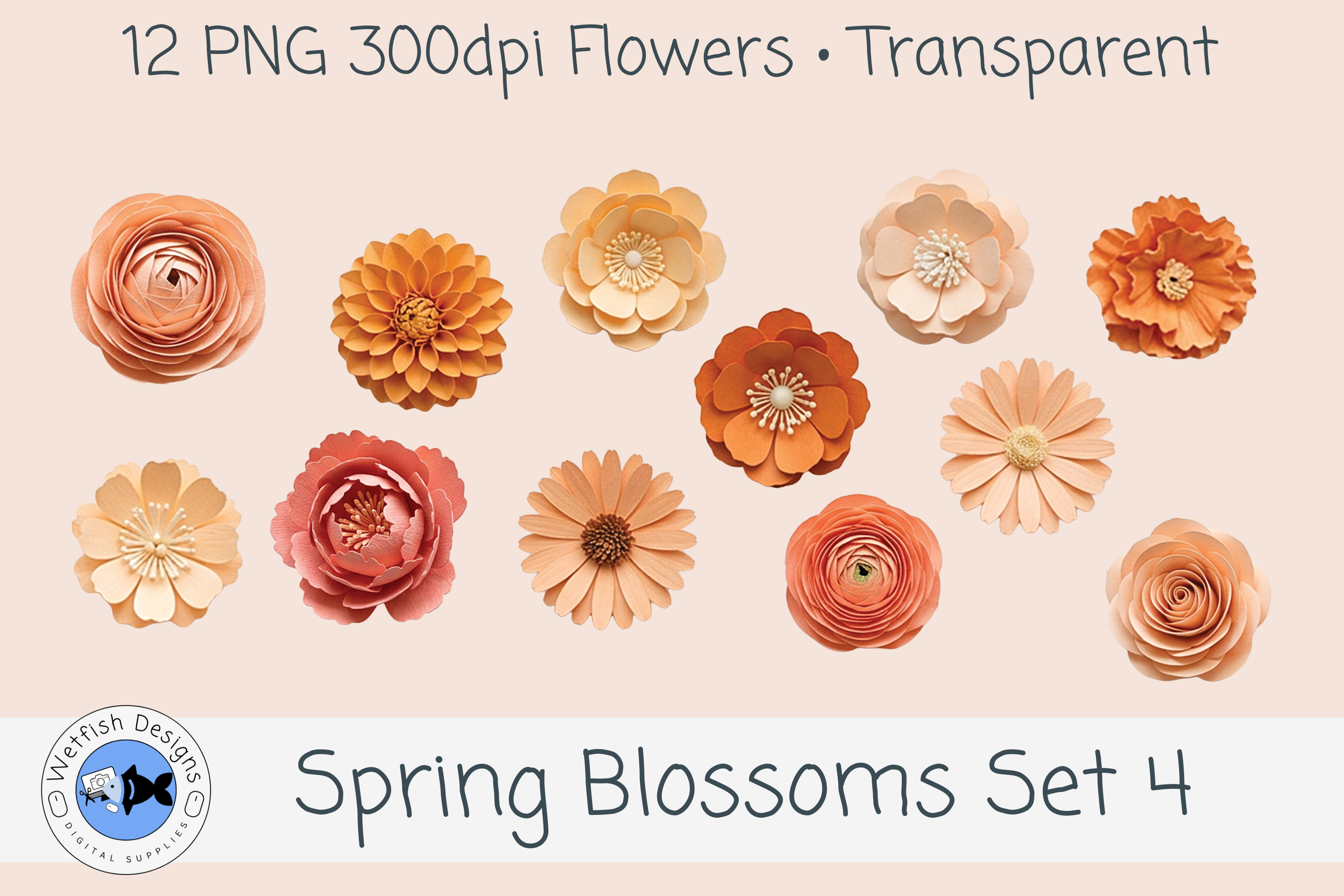 Spring PNG Blossoms 4