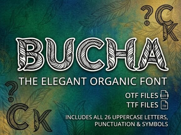 Bucha Font - Preview 1