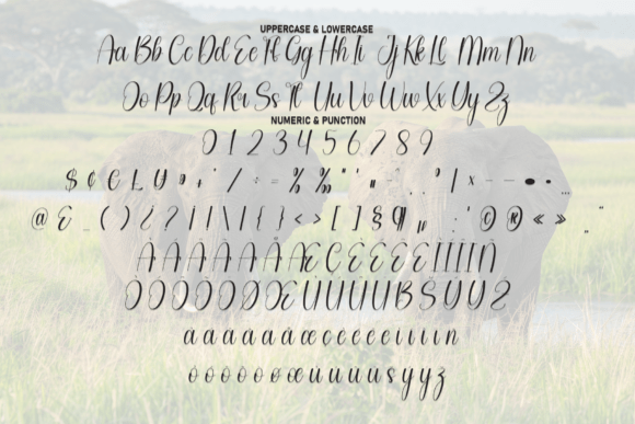 Elephant Font - Preview 6
