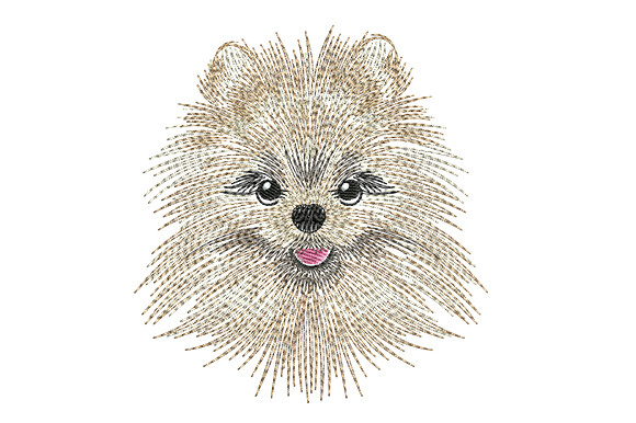 Pomeranian