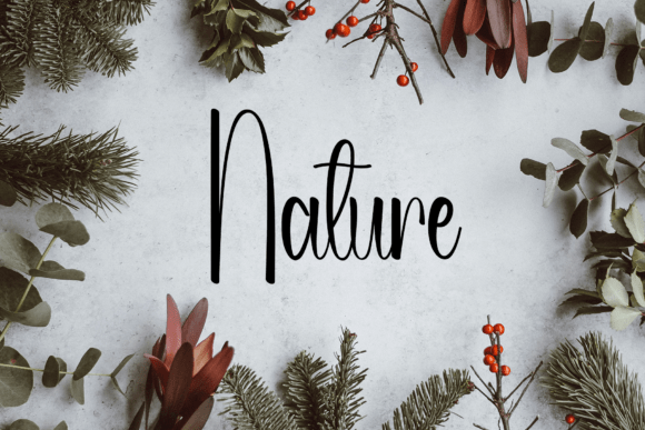 Aututors Font - Preview 1