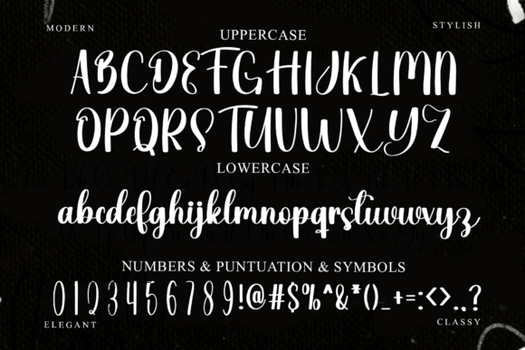 Edition Font - Preview 2