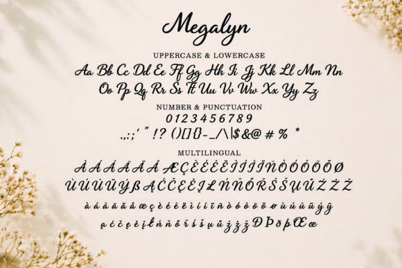 Megalyn Font PNG with transparent background - Preview 2