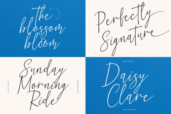 Modern Bundle Font PNG with transparent background - Preview 2