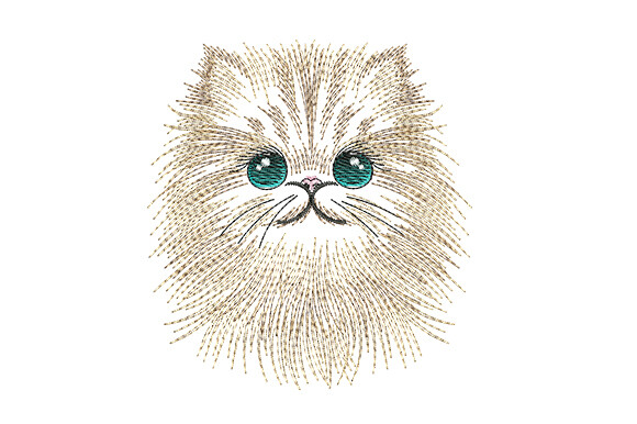 Persian Cat