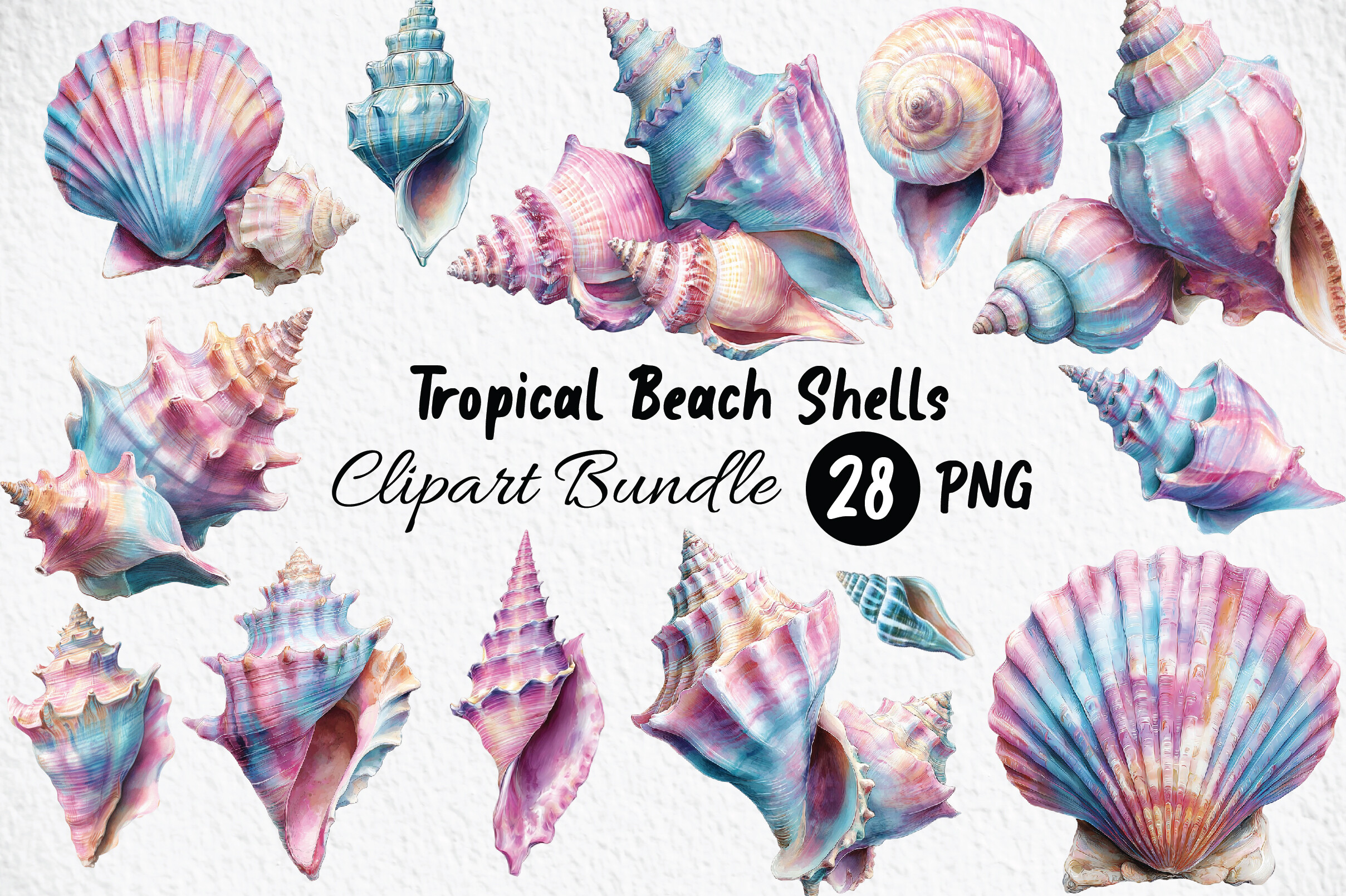 Shell String Graphic Tropical Beach Shells Clipart PNG Graphic by Craft Art · Creative Fabrica