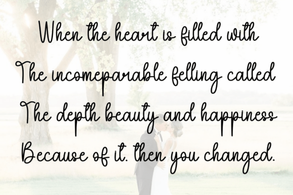 Butterfly Font - Preview 2