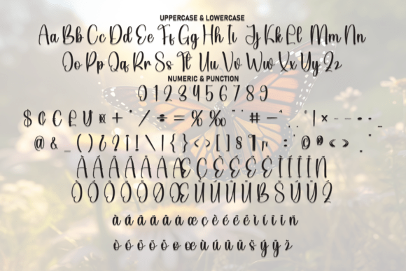 Butterfly Font - Preview 6