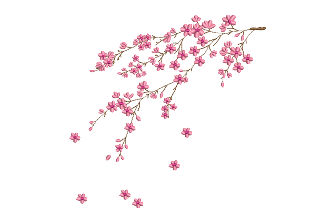 Cherry Blossom Branch