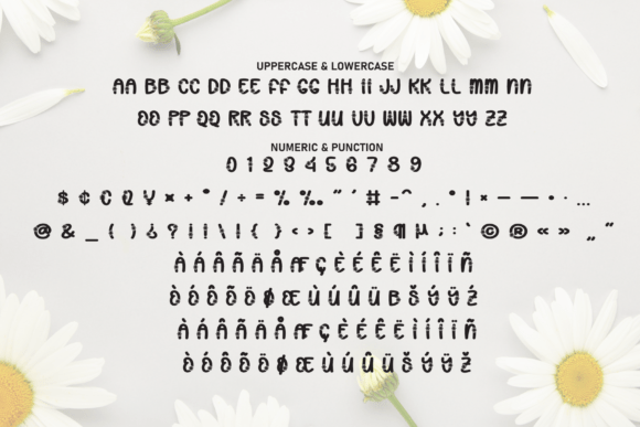Daisy Garden Font - Preview 6