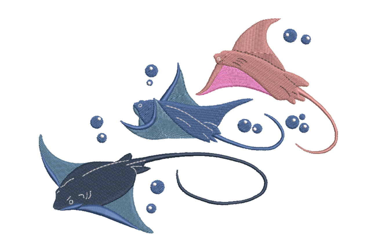 Playful Stingrays Underwater