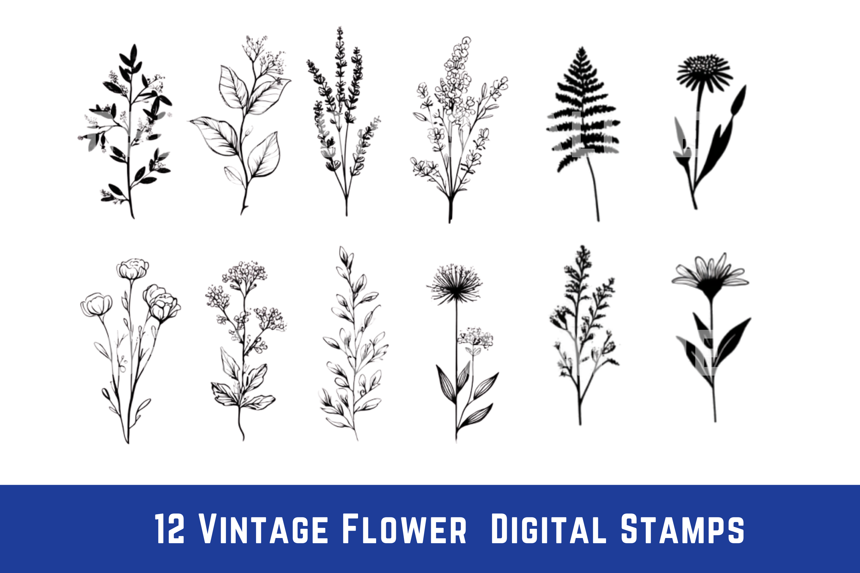 Vintage Flower Digital Stamp PNG Clipart
