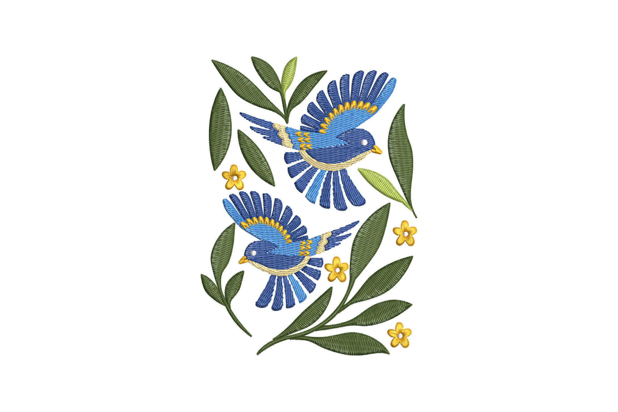Cute Birds