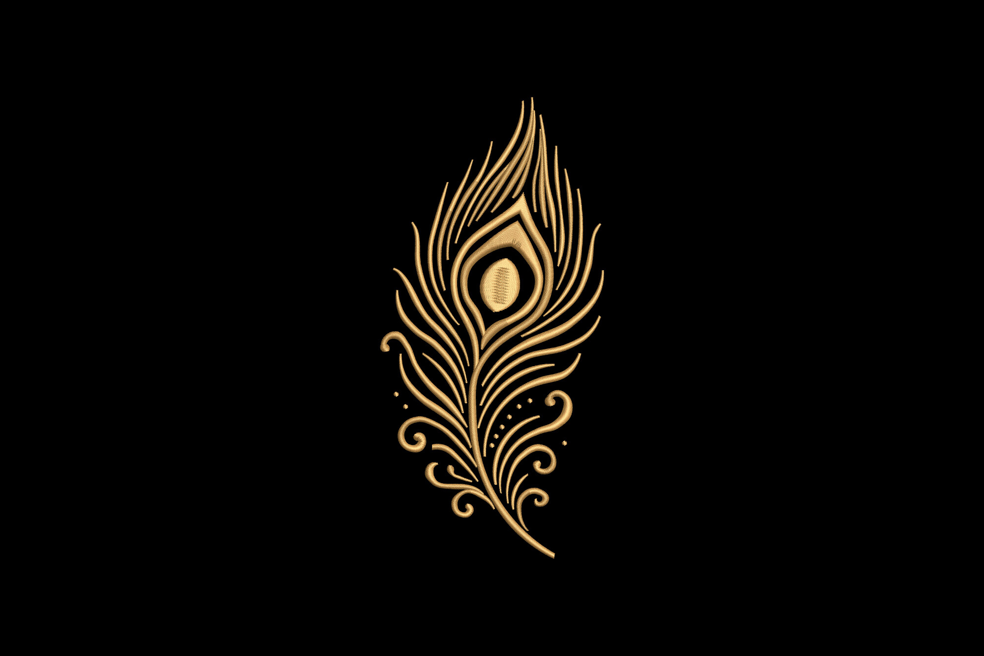 Elegant Peacock Feather