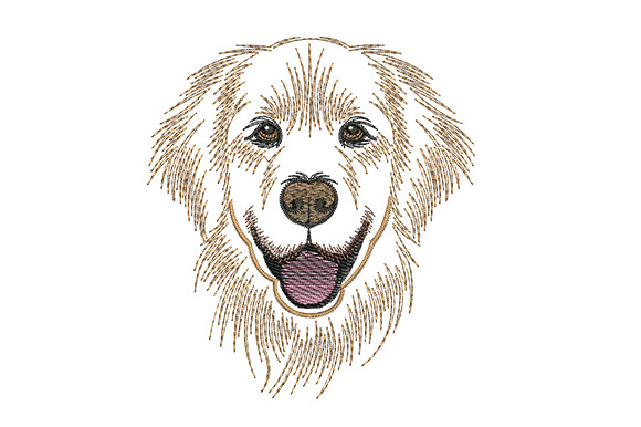 Golden Retriever Dog
