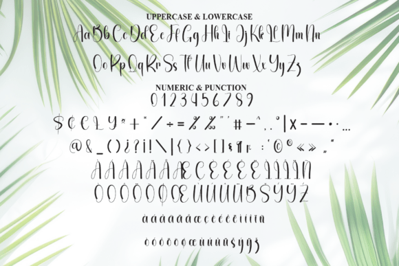 Holiday Signature Font - Preview 6