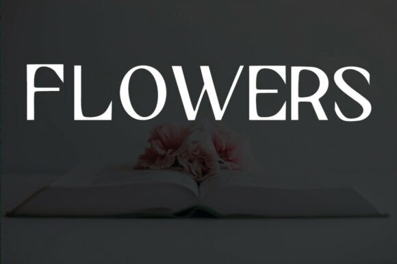 Sans Serif Classic Font PNG with transparent background - Preview 4